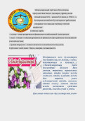 Неделя Ц(М)К БУХГАЛТЕРСКИЙ УЧЕТ 3