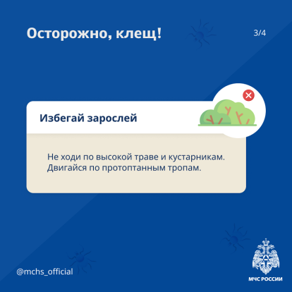 Осторожно, клещ! 4