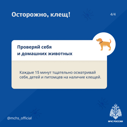 Осторожно, клещ! 5