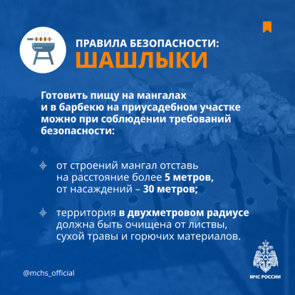 Правила безопасности: шашлыки 2